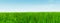 3D illustration of a conceptual green, fresh and natural grass field or lawn