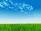 3D illustration of a conceptual green, fresh and natural grass field or lawn, blue sky background