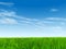 3D illustration of a conceptual green, fresh and natural grass field or lawn, blue sky background