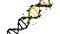 3d illustration of a dna degradation molecules