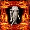 3D illustration of the elephant running out of the flame