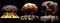 3D illustration of explosion - 3 large different phases fire mushroom cloud explosion of fusion bomb with smoke and flame isolated