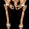 3d illustration of the femoral artery on bones