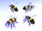 3d illustration of flat style bees with bright colors.