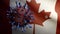 3D illustration Flu coronavirus over Canadian flag. Canada pandemic Covid19