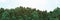 3d illustration of forest seamless panorama. Hilly forest outdoor render