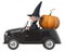 3d illustration funny fairy-tale wizard with a hat on his car