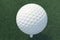 3D illustration Golf ball and ball in grass, close up view on tee ready to be shot. Golf ball top view.