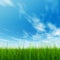 3D illustration of a green, fresh and natural grass field or lawn, blue sky background in spring or summer