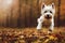 3d illustration of happy westie puppy jumping autumn forest with leaves fall Generative AI illustration
