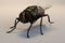 3D illustration of a housefly