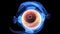 3d illustration of human body eye anatomy