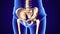 3d illustration of human body hip joint anatomy