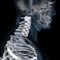 3d illustration of human body skeletal cervical vertebra