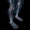 3d illustration of human body skeletal fibula