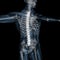 3d illustration of human body skeletal vertebral column