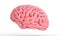 3d illustration of the human brain isolated in white 3d illustration