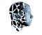 3d illustration of human head broken on pieces as a symbol of mental disorde