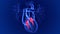 3d Illustration Human Heart Tricuspid and Bicuspid Valve