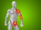 3D illustration human man anatomy upper body or health design, joint or articular pain, ache or injury