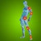 3D illustration of human or man with muscles for anatomy or health designs with articular or bones pain