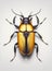 3D illustration of insect on white background. Photorealistic.Top view