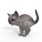 3d-illustration of an isolated cute baby cat pooping