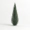 3d illustration of juniperus scopulorum wichita blue tree isolated on white background