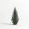 3d illustration of juniperus scopulorum wichita blue tree isolated on white background