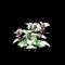 3d illustration of Lamium maculatum bush isolated on black background