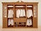 3d illustration of Ñlassic wood wardrobe wardrobe