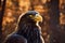 3d illustration of majestic american eagle in autumn forest Generative AI illustration