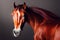 3d illustration of a majestic horse. Detailed close up portrait. Generative AI illustration