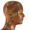 3d illustration of man iron head silhouette stylized golden colorful