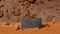 3d illustration mockup of rugged orange desert rocks for masculine product displays minimal design