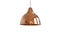 3d illustration of a modern copper pendant lamp isolated