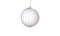 3d illustration of a modern pendant lamp that looks like a sea shell isolated