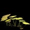 3d illustration of nasturtiums plant isolated on black background