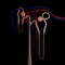 3d illustration of the nephron