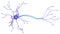 3D illustration of neuron
