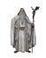 3D illustration of an old bearded white wizard standing with his staff