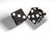 3d illustration: a pair of black dice hung in the air after being thrown. Shadow. White background.