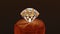 3D illustration of a precious stone encased in a golden setting with round openings on a velvet stand, against a dark