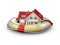 3d Illustration of protection house with lifebuoy white background