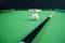 3D illustration recreation sport. Billiards balls with cue on green billiards table. Billiard sport concept. Pool