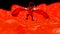 3d illustration of a red dragon in lava walking towards the viewer