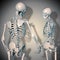 3d illustration of romantic skeleton couples