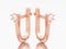 3D illustration rose gold diamond solitaire earrings with hinged