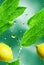 3d illustration seamless pattern of falling lemons and mint leaves water