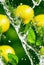 3d illustration seamless pattern of falling lemons and mint leaves water